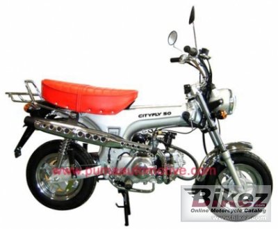 2010 Puma CityFly 125 photo